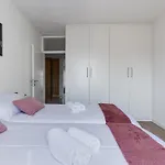 Paloma * Zadar