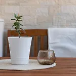 Apartament Paloma