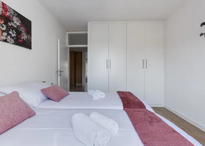 Paloma * Zadar